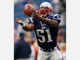 Jerod Mayo picture, image, poster